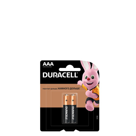 Батарейки DURACELL LR03, BL2 BASIC CN